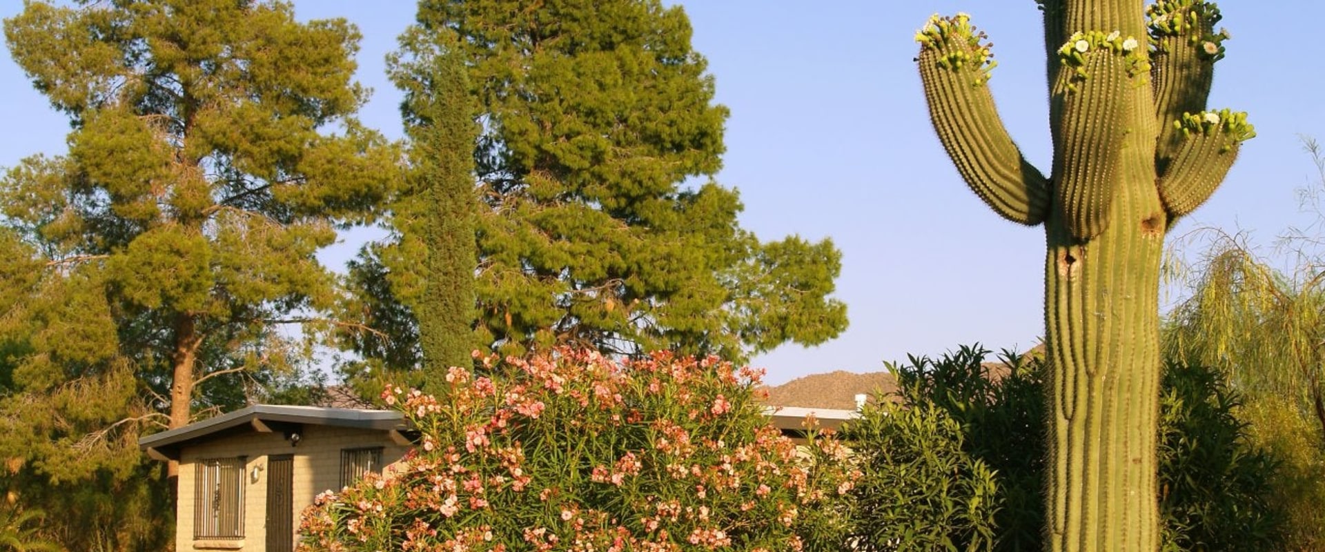 Monthly Housing Market Reports for Tucson