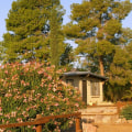 Monthly Housing Market Reports for Tucson