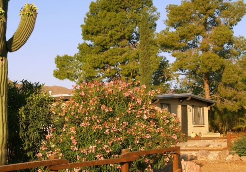 Monthly Housing Market Reports for Tucson